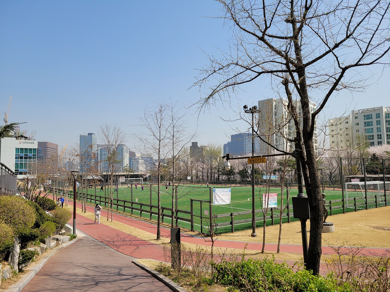 箱根駅伝