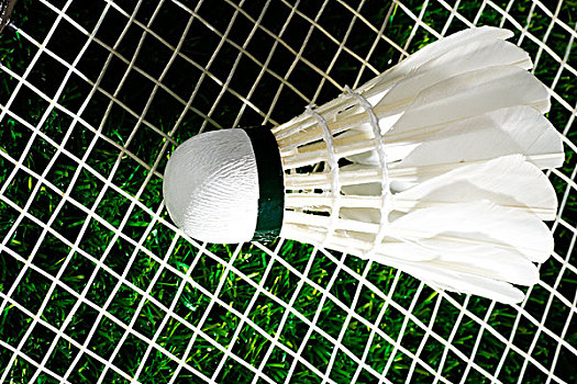 粗糙而备受 粗糙而备受