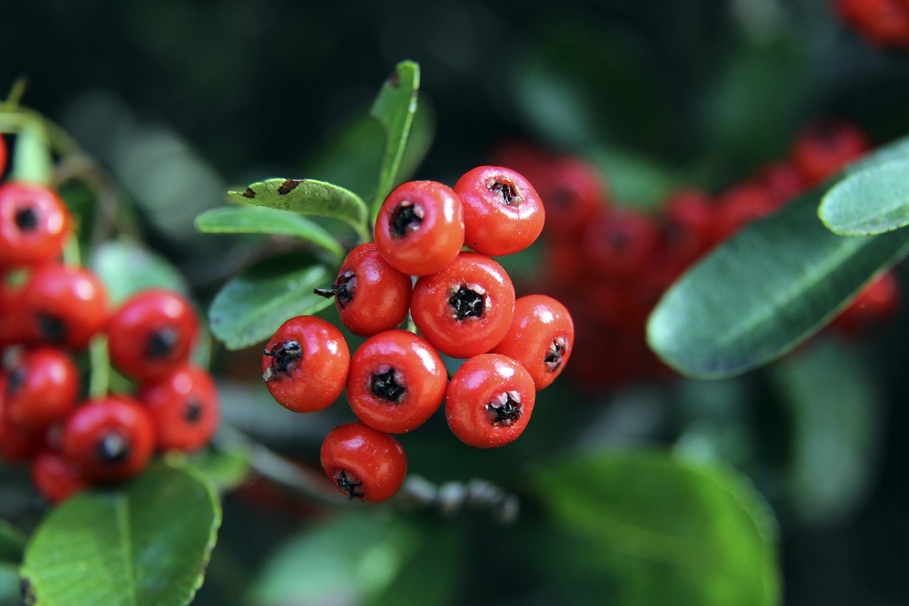 业球员的得 业球员的得