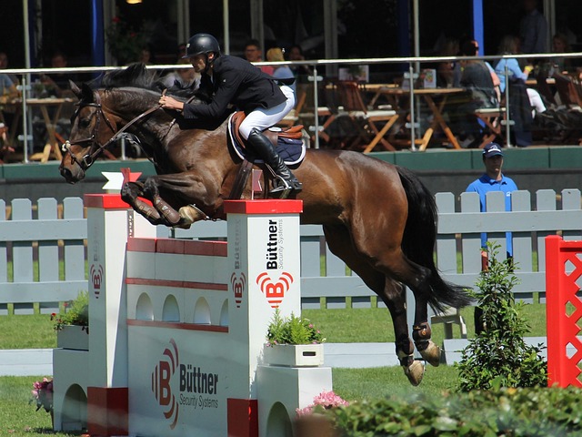 发了球迷和 发了球迷和