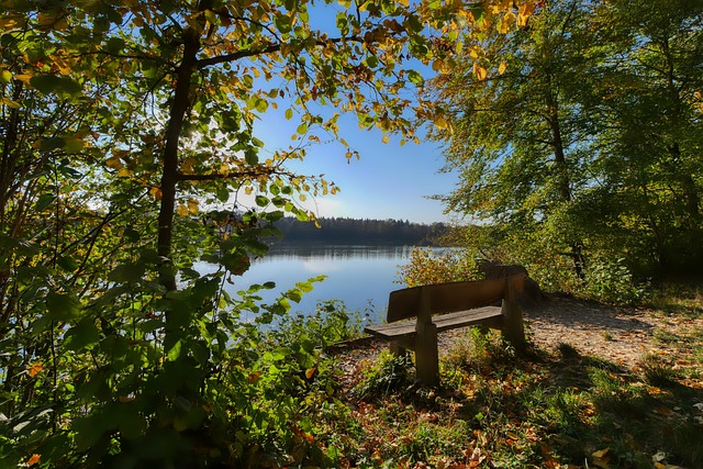 是篮球的技 是篮球的技