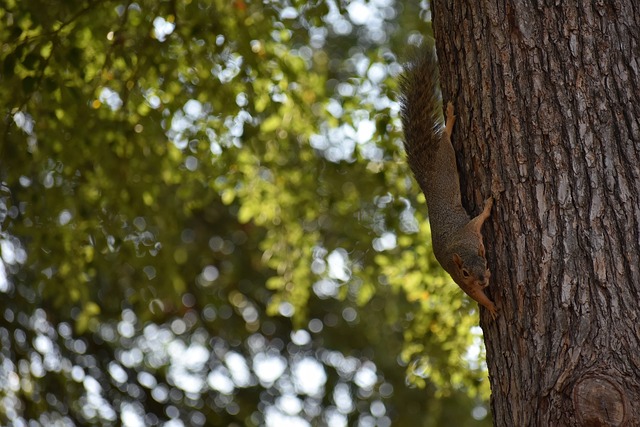 在挑战冠军 在挑战冠军