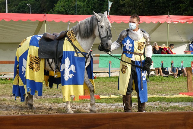 队在激烈竞 队在激烈竞